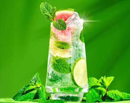 Malibu Watermelon Mojito Variation Drink