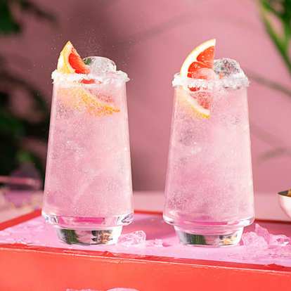 Malibu Paloma